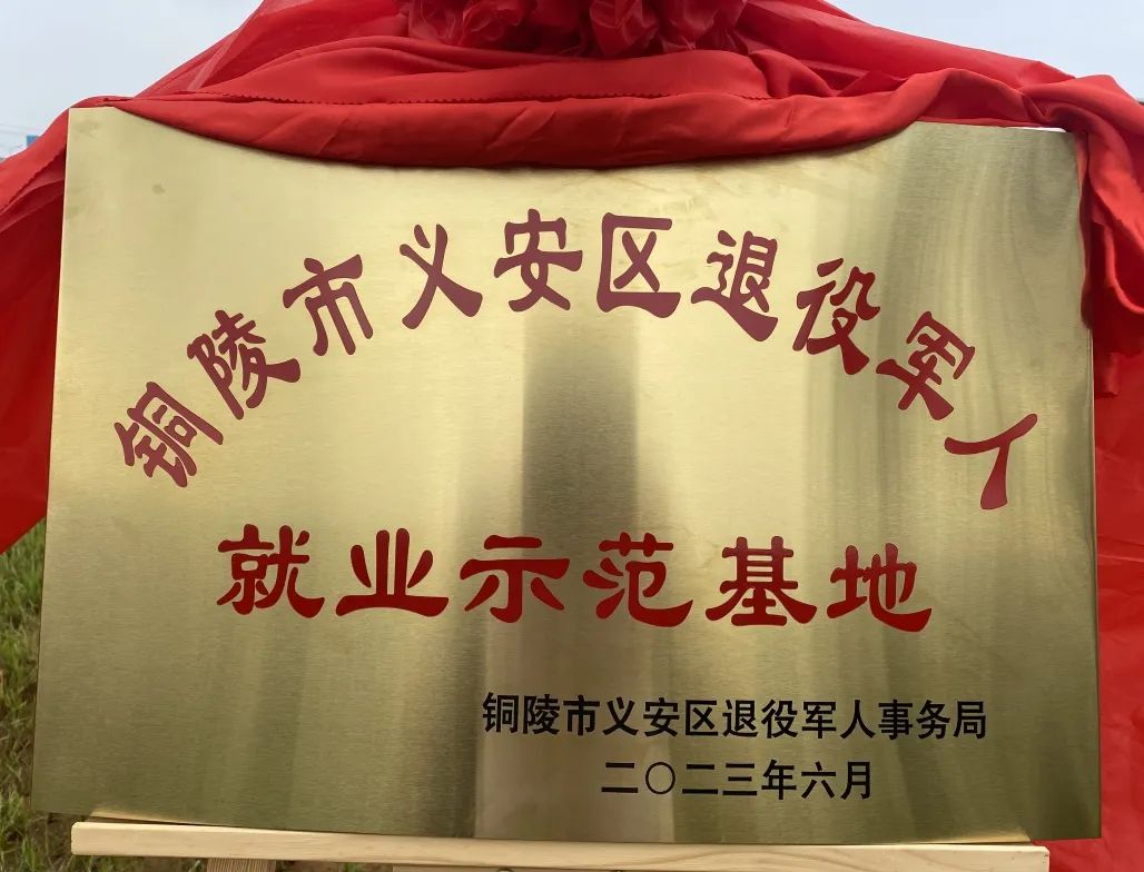 28圈(中国集团)官方网站