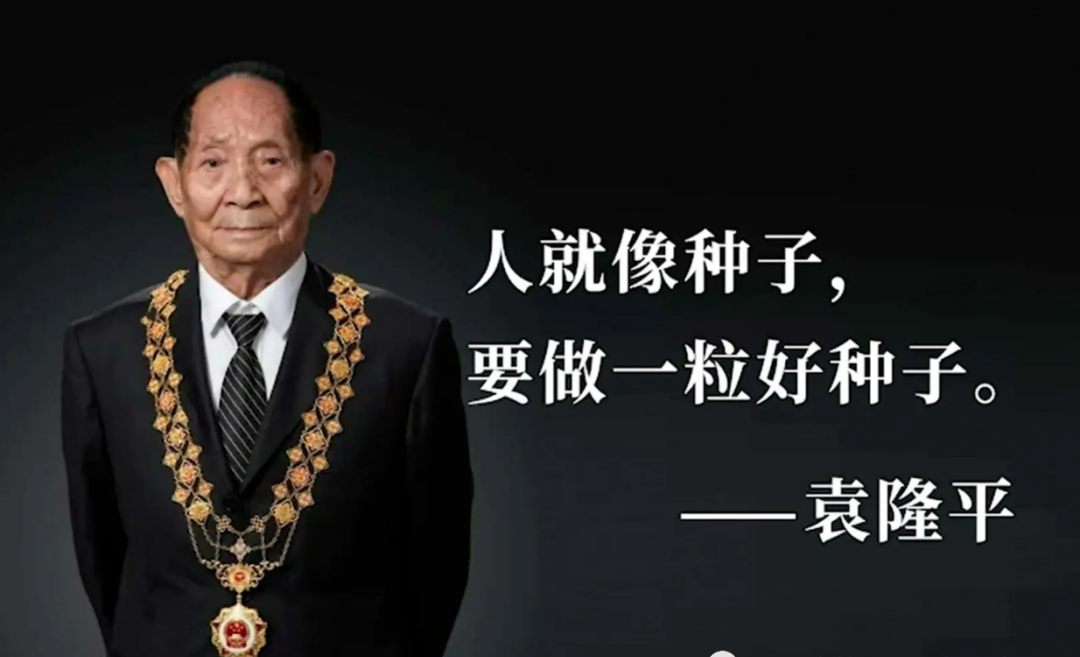 89d78c76295a980081b6e8ee18173a08 28圈(中国集团)官方网站