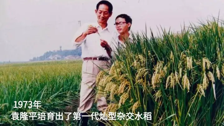 d5ed1b3593b6d529b3b41e07b12aeb1a 28圈(中国集团)官方网站